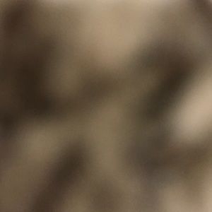 Meet your Posher, Veronica